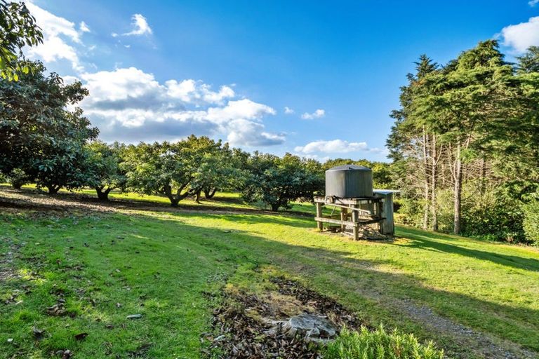 Photo of property in 237b Busby Road, Tahawai, Katikati, 3170