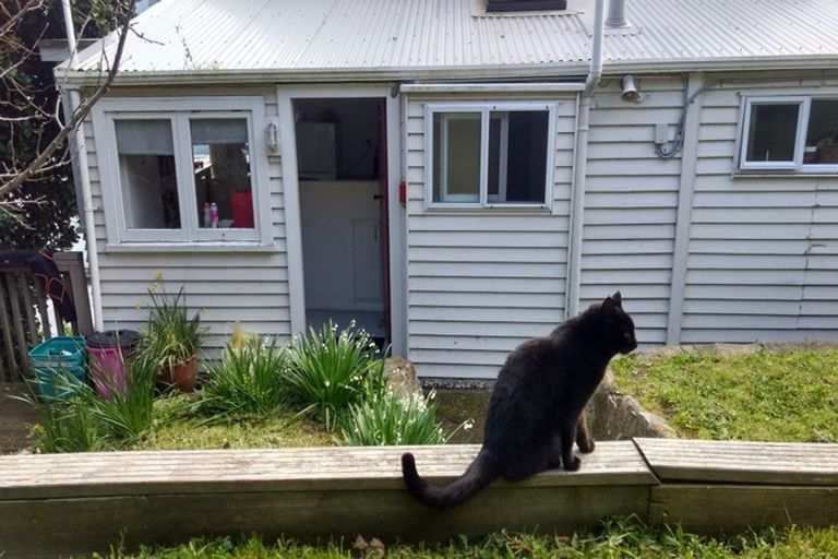 Photo of property in 5/20 Hay Street, Oriental Bay, Wellington, 6011