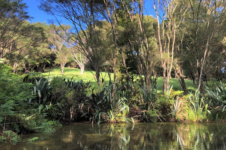 Photo of property in 11 Dip Road, Kaeo, 0479