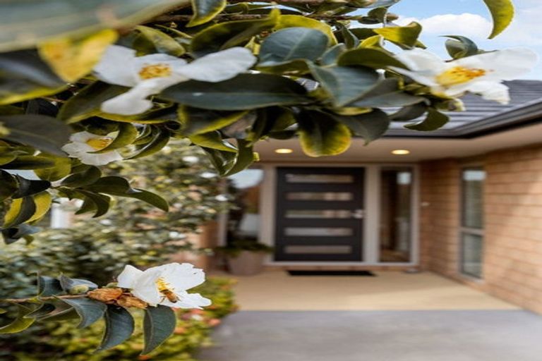 Photo of property in 15 Henry Bell Close, Leamington, Cambridge, 3432