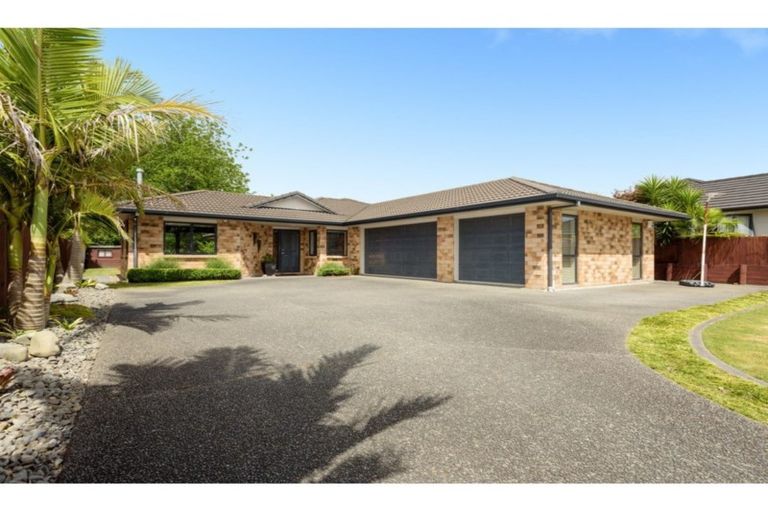 Photo of property in 117 Hollister Lane, Ohauiti, Tauranga, 3112