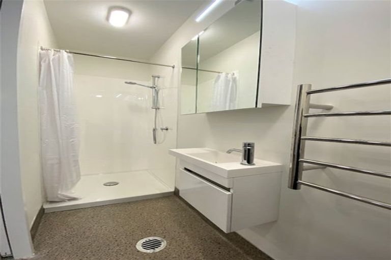Photo of property in Aniva Terrace, 21 Arney Street, Newtown, Wellington, 6021