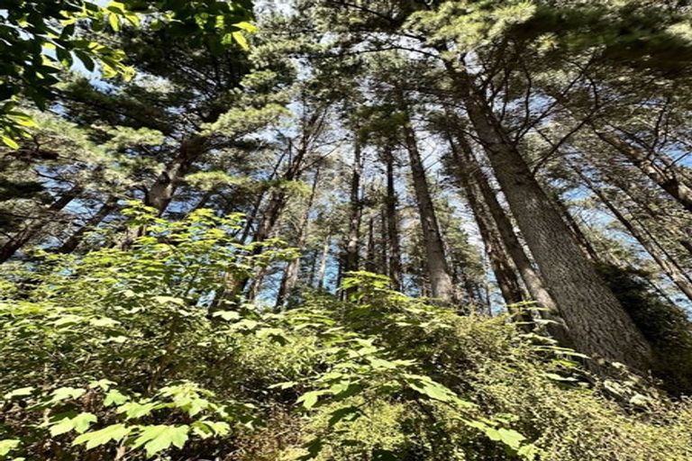 Photo of property in 13 Okuti Valley Road, Little River, 7591