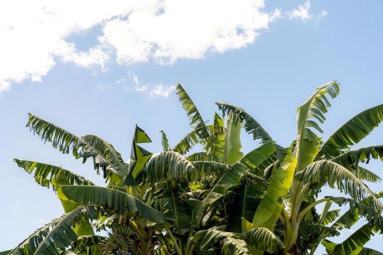 Photo of property in 84a Percy Road, Papamoa Beach, Papamoa, 3118