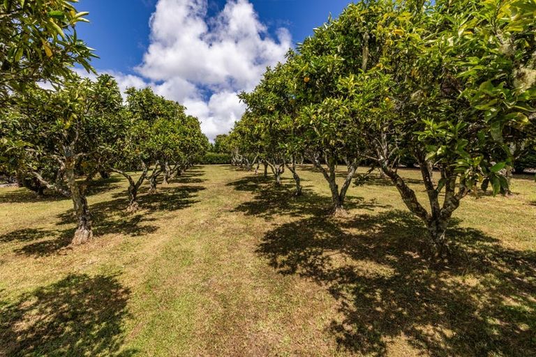 Photo of property in 17 Poplar Lane, Kerikeri, 0293