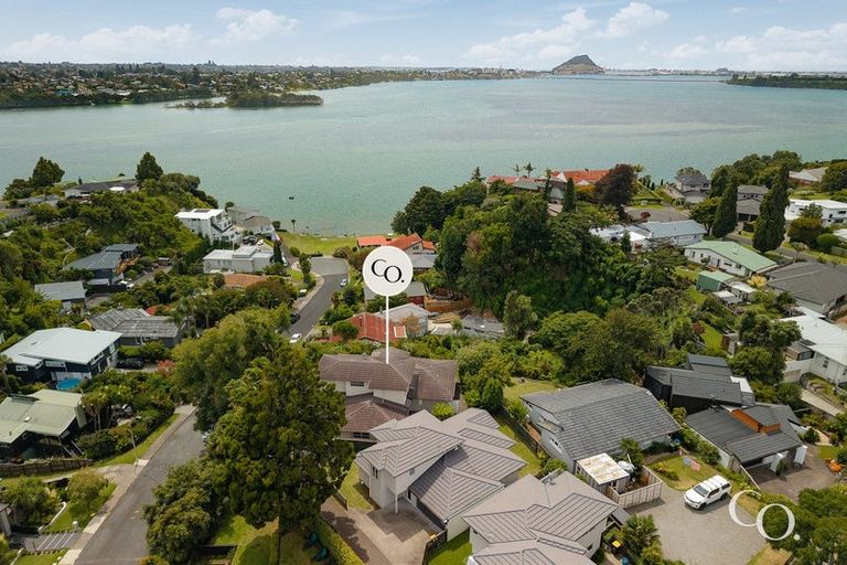 Photo of property in 214 Maungatapu Road, Maungatapu, Tauranga, 3112