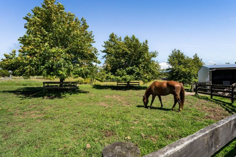 Photo of property in 88 Te Arei Road, Lepperton, New Plymouth, 4373
