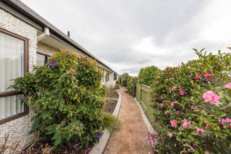 Photo of property in 17 Chelsea Avenue, Richmond, 7020