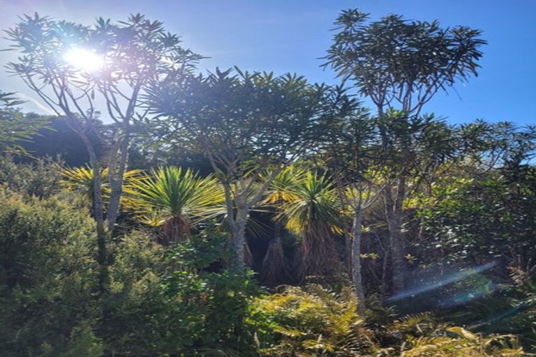 Photo of property in 67e Blue Spur Road, Blue Spur, Hokitika, 7882