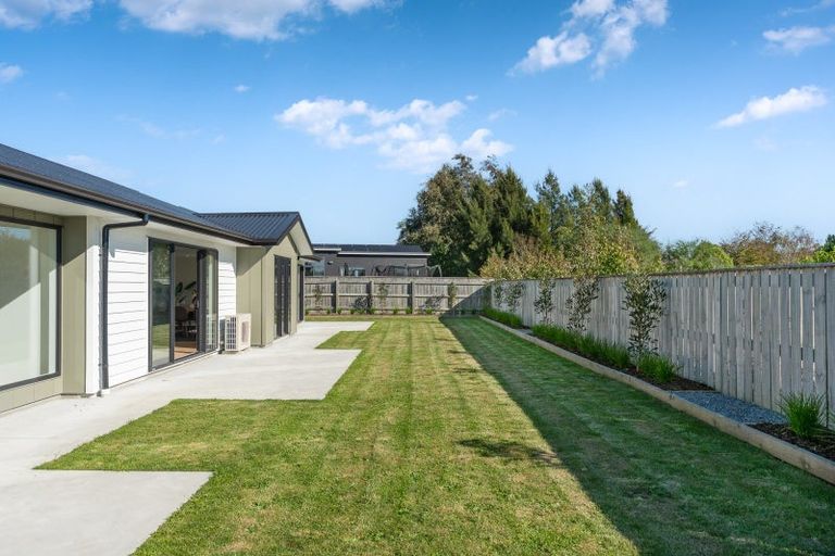 Photo of property in 50e Taranaki Street, Kuripuni, Masterton, 5810