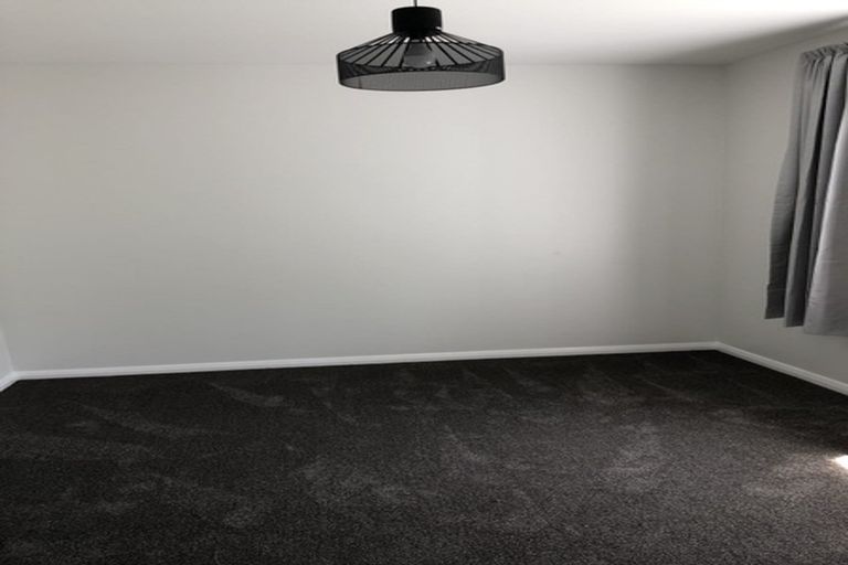 Photo of property in 213 Aro Street, Aro Valley, Wellington, 6021