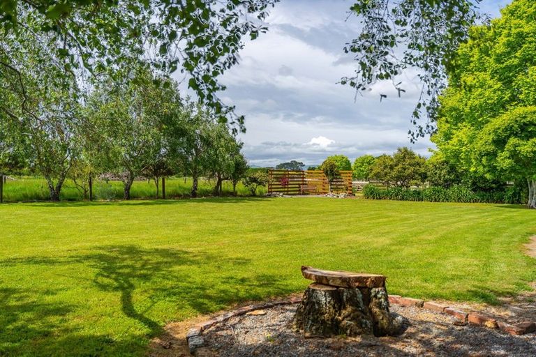 Photo of property in 386 Upper Plain Road, Upper Plain, Masterton, 5888
