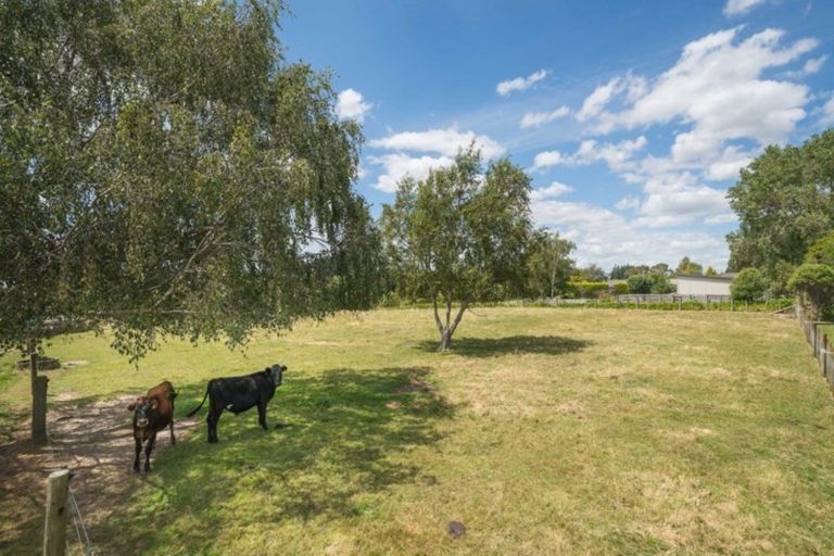 Photo of property in 872 Reid Line East, Bunnythorpe, Palmerston North, 4481