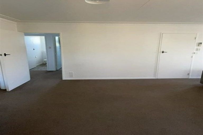 Photo of property in 53a Helena Street, Forbury, Dunedin, 9012