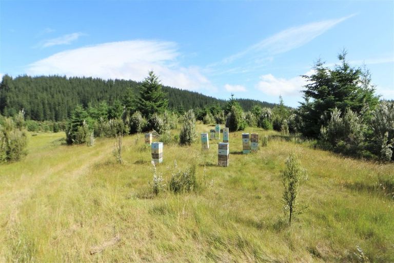 Photo of property in 147p Mount Lyford Forest Drive, Lyford, Waiau, 7395