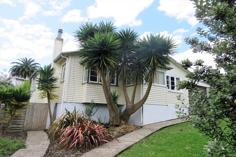 Photo of property in 16 Nahum Street, Paeroa, 3600