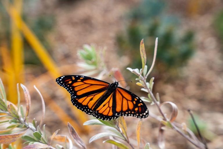 Photo of property in 113 Queens Drive, Lyall Bay, Wellington, 6022