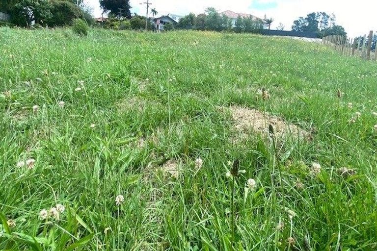 Photo of property in 10 Matipo Avenue, Pomare, Rotorua, 3015