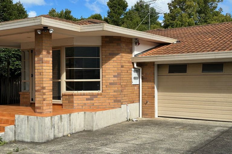 Photo of property in 36a Whitmore Road, Mount Roskill, Auckland, 1041