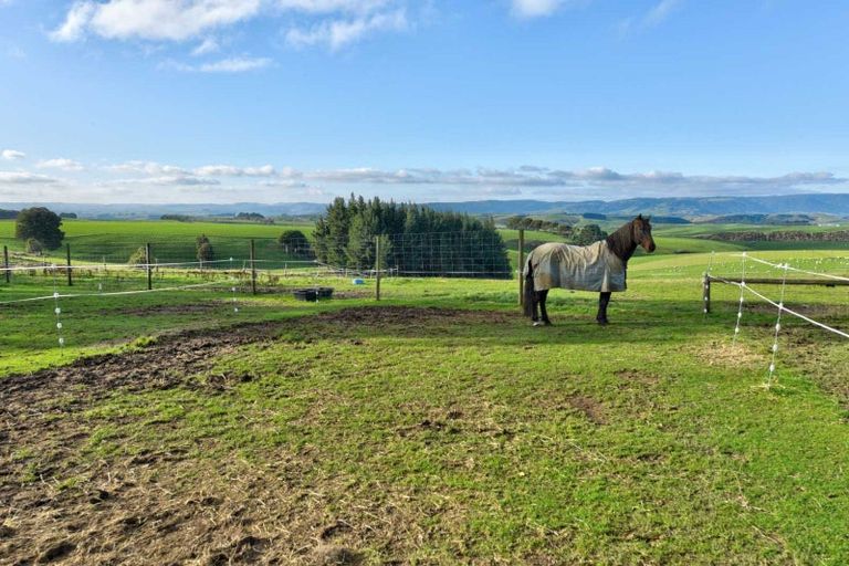 Photo of property in 791 Wyndham Letterbox Road, Glenham, Wyndham, 9891