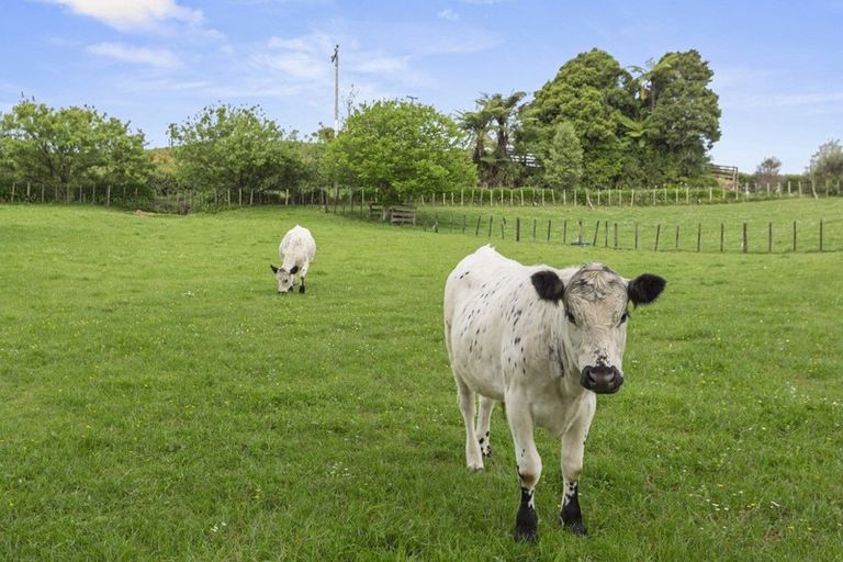 Photo of property in 70 Kaimango Road, Hauturu, Te Awamutu, 3878