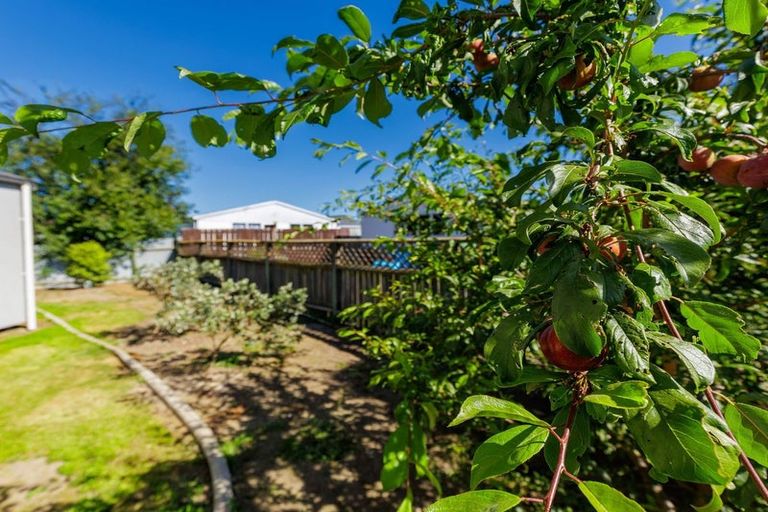 Photo of property in 37a Belt Street, Waimate, 7924