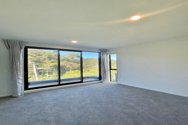 Photo of property in 47 Waka Street, Albany Heights, Auckland, 0632