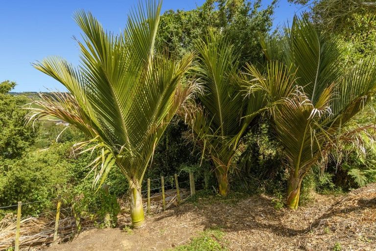 Photo of property in 51 Garvan Glen, Pyes Pa, Tauranga, 3112