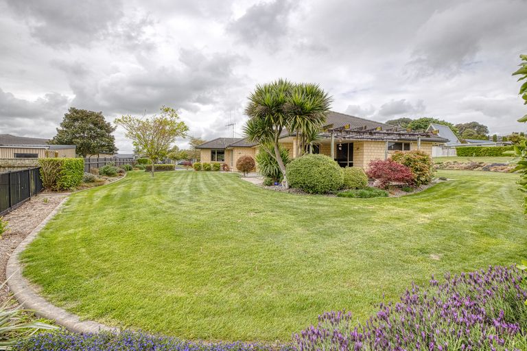 Photo of property in 98 Ash Grove, Te Awamutu, 3800