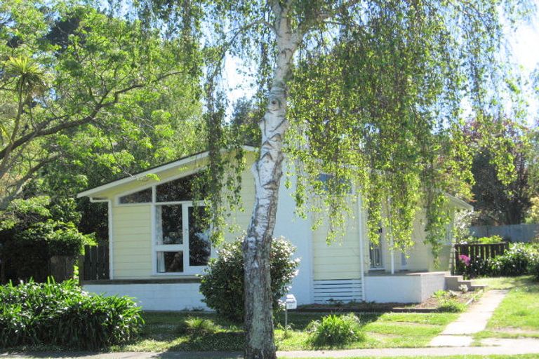 Photo of property in 17 Halley Street, Outer Kaiti, Gisborne, 4010