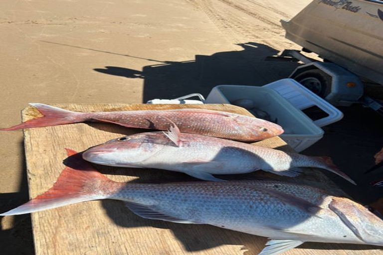 Photo of property in 599 Waihau Road, Tolaga Bay, 4073