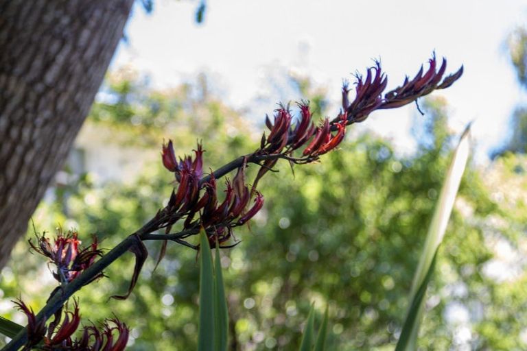 Photo of property in 90-92 Kiwi Road, Raumati Beach, Paraparaumu, 5032