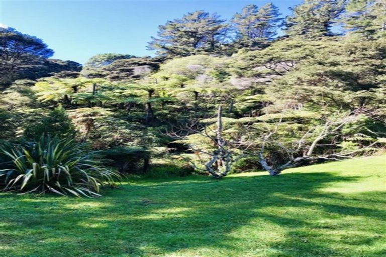Photo of property in 850 Buffalo Road, Coromandel, 3506