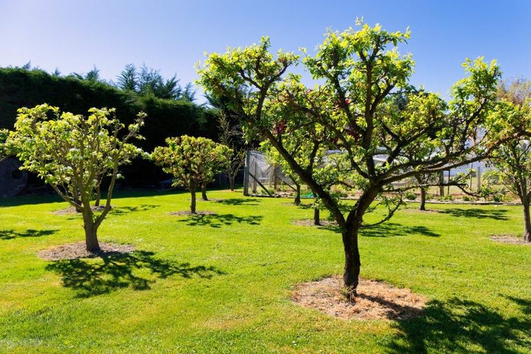 Photo of property in 871 Inland Kaikoura Road, Inland Road, Kaikoura, 7373