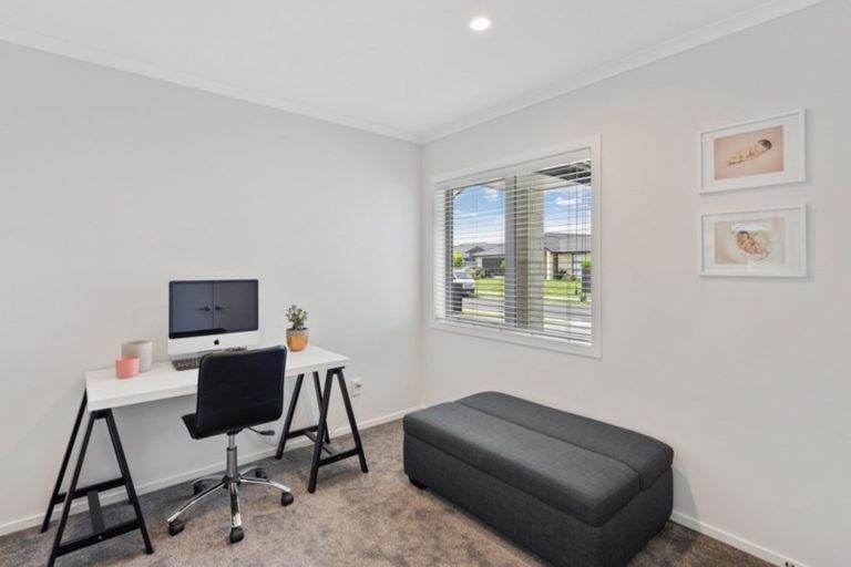 Photo of property in 15 Beaufort Place, Flagstaff, Hamilton, 3210