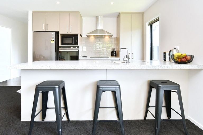 Photo of property in 28 Makawe Roa Street, Marshland, Christchurch, 8083