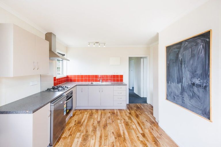 Photo of property in 102 Limbrick Street, Terrace End, Palmerston North, 4410