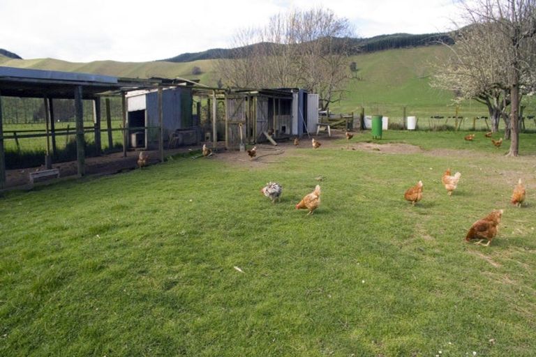 Photo of property in 4817 Motueka Valley Highway, Tapawera, Wakefield, 7096