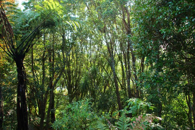 Photo of property in 55 Branch Road, Highlands Park, New Plymouth, 4312