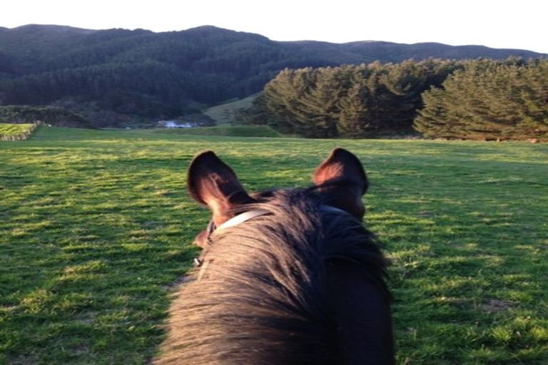 Photo of property in 729 Moonshine Hill Road, Moonshine Valley, Porirua, 5381