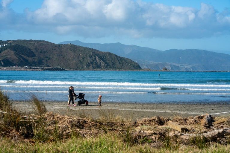 Photo of property in 113 Queens Drive, Lyall Bay, Wellington, 6022