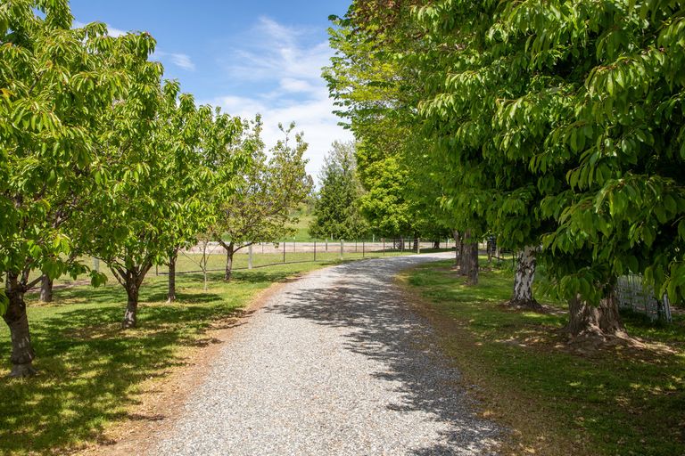 Photo of property in 42 Clare Road, Galloway, Alexandra, 9393