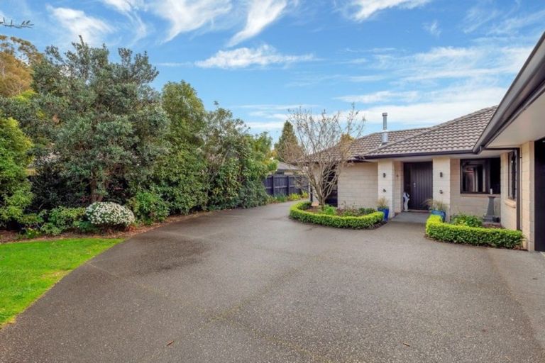 Photo of property in 111 Chater Avenue, Bethlehem, Tauranga, 3110