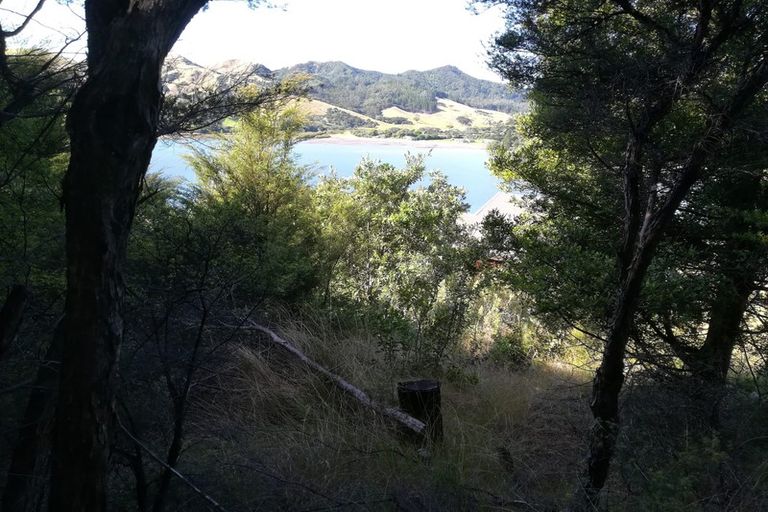 Photo of property in 1455 Port Charles Road, Port Charles, Coromandel, 3584