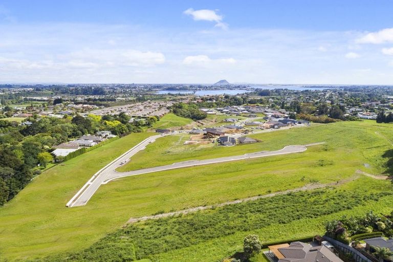 Photo of property in 23 Hass Drive, Ohauiti, Tauranga, 3112