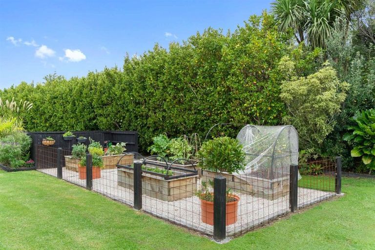 Photo of property in 79d Jack Boyd Drive, Mangawhai Heads, Kaiwaka, 0573