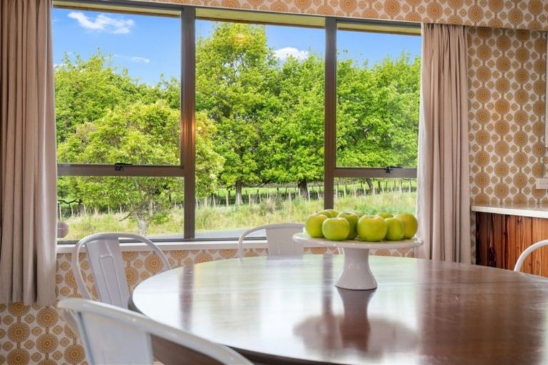 Photo of property in 37 Seales Road, Morrinsville, 3300