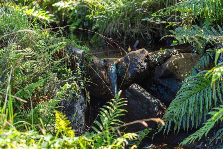 Photo of property in 397 Ruapuke Road, Raglan, 3296