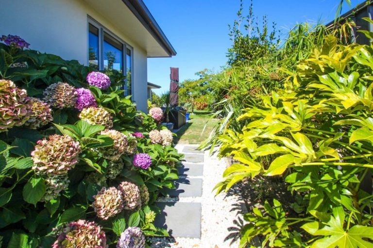 Photo of property in 61 Northwood Avenue, Mahora, Hastings, 4120