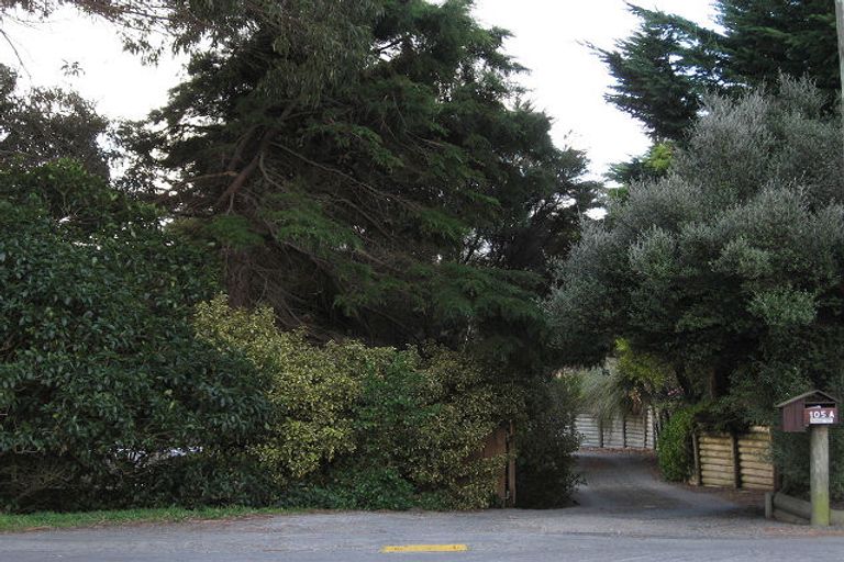 Photo of property in 105 Poplar Avenue, Raumati South, Paraparaumu, 5032